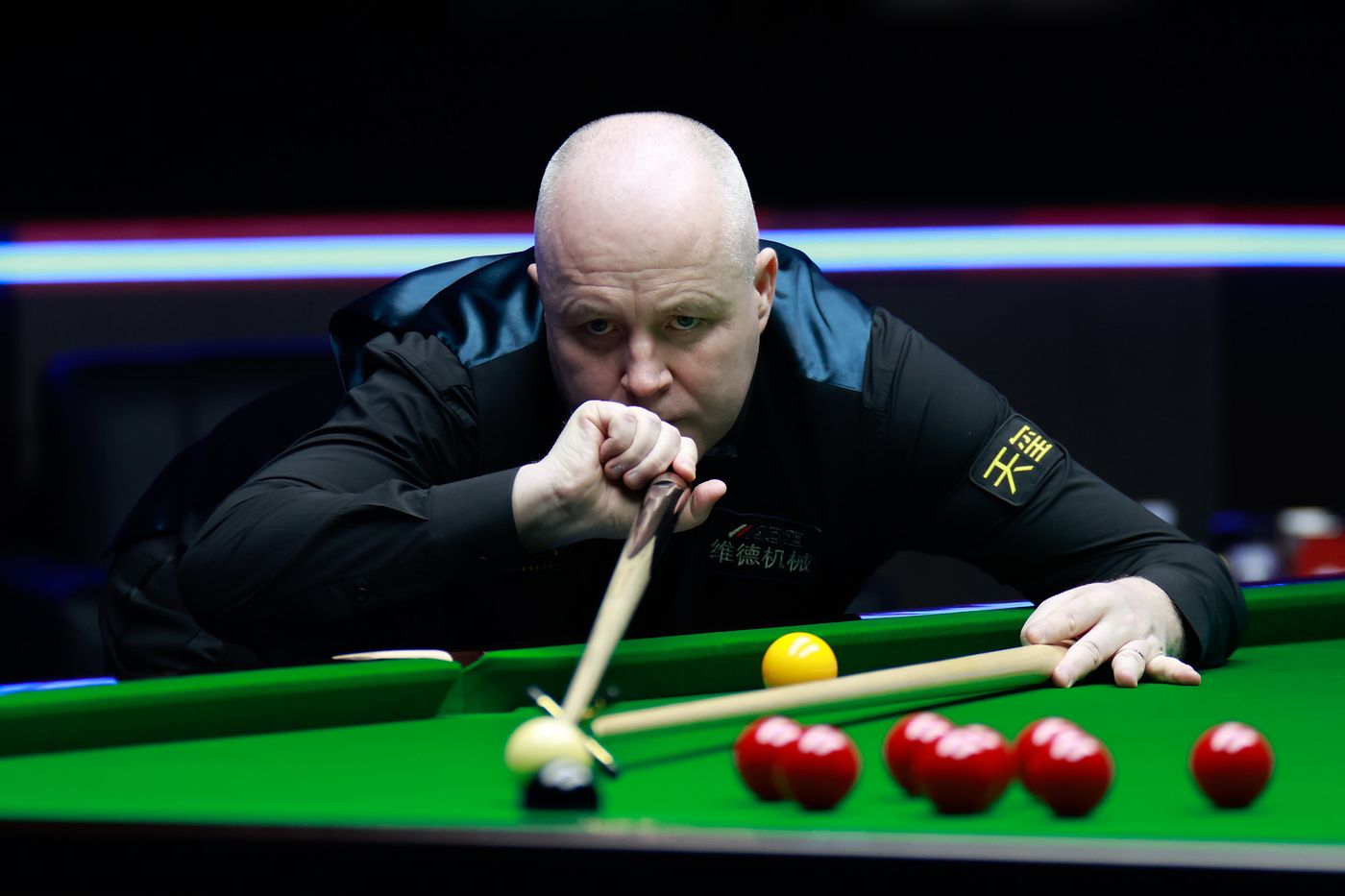 第十三届鸟 第十三届鸟