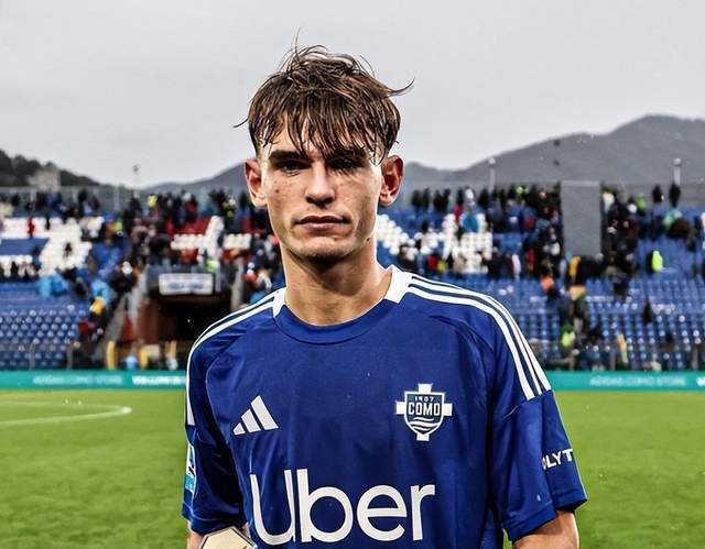 仅权威性高 仅权威性高